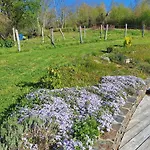 Le Bellevue Semesterbostad *