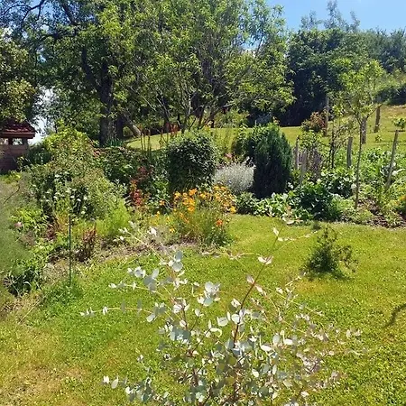 Le Bellevue Holiday home *