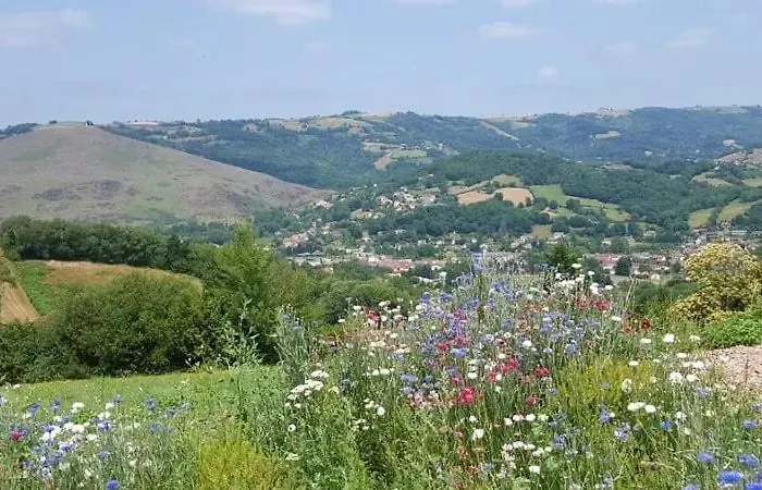 Le Bellevue Holiday home Firmi