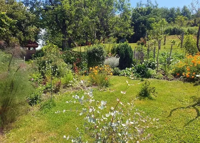 Le Bellevue Casa vacanze *